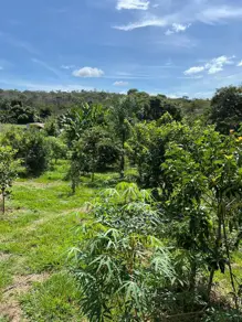 Imagem 2 - Chácara em Zona Rural, Cromínia - GO
