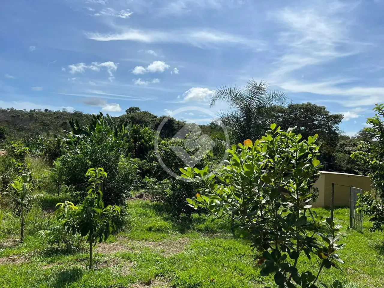 Image 13 - Chácara em Zona Rural, Cromínia - GO