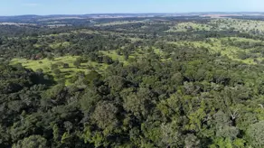 Imagem 3 - Fazenda em Zona Rural, Hidrolândia - GO