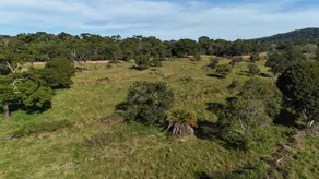 Imagem 6 - Fazenda em Zona Rural, Hidrolândia - GO