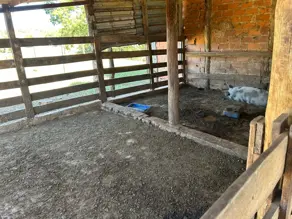 Imagem 4 - Fazenda em Zona Rural, Professor Jamil - GO