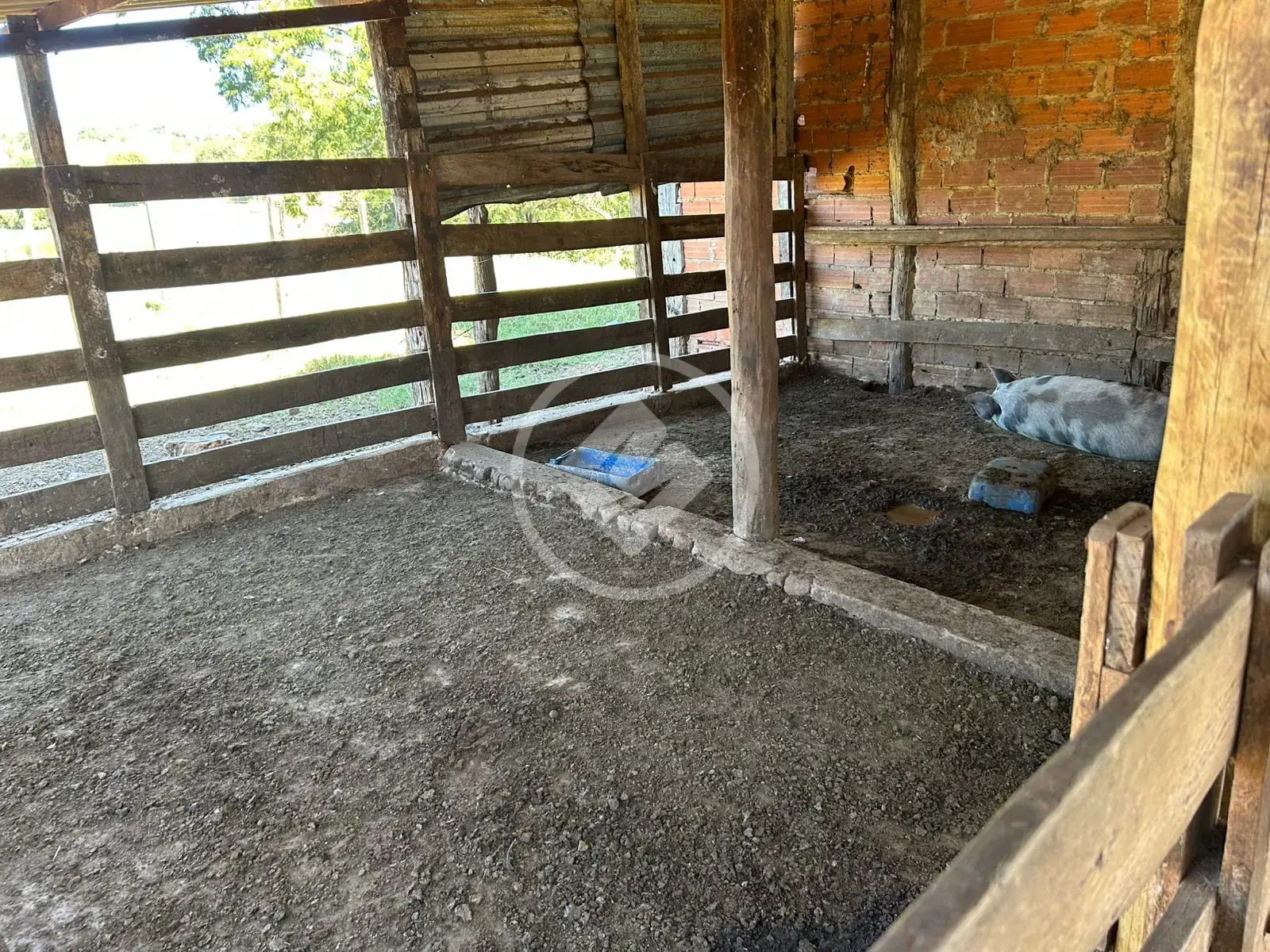 Imagem 4 - Fazenda em Zona Rural, Professor Jamil - GO