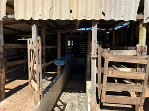 Imagem 5 - Fazenda em Zona Rural, Professor Jamil - GO