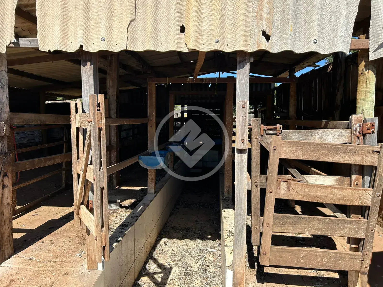 Imagem 5 - Fazenda em Zona Rural, Professor Jamil - GO