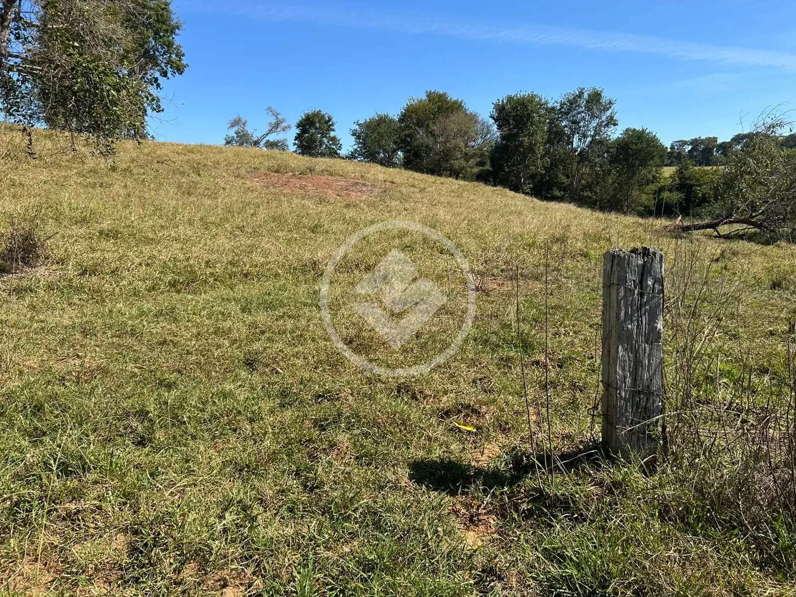 Imagem 2 - Fazenda em Zona Rural, Professor Jamil - GO