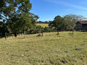 Imagem 6 - Fazenda em Zona Rural, Professor Jamil - GO