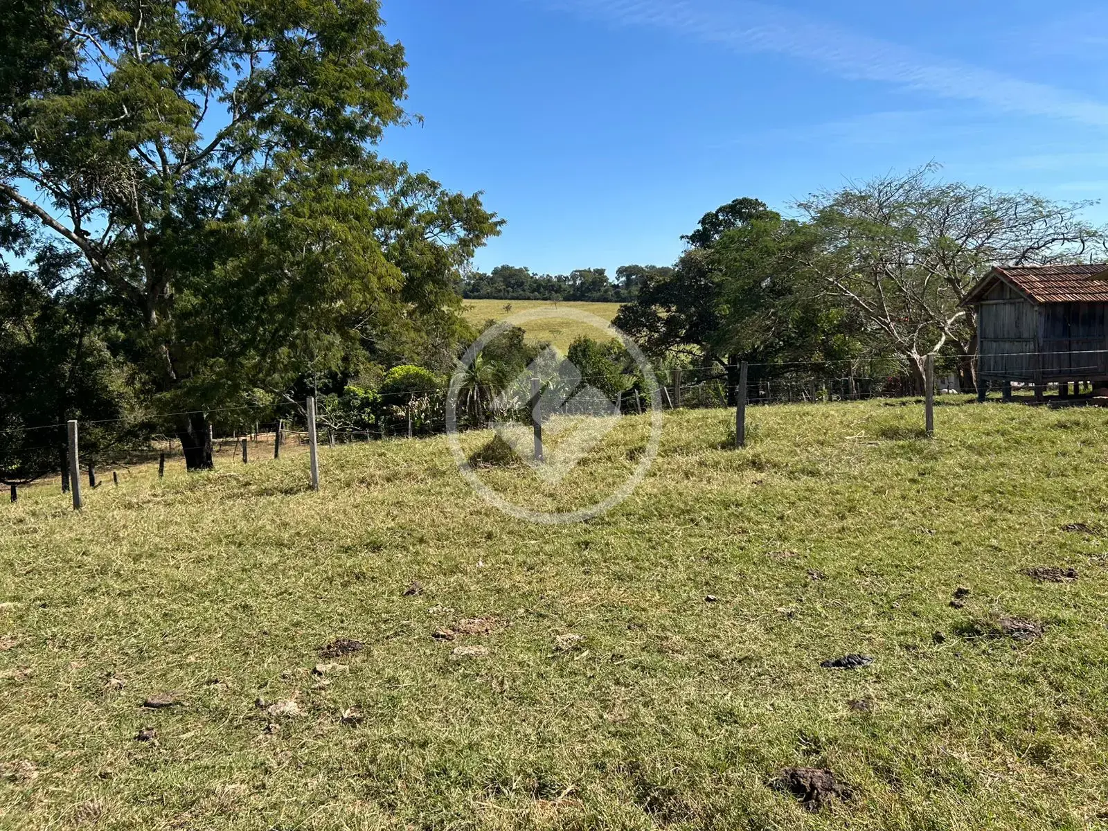 Imagem 6 - Fazenda em Zona Rural, Professor Jamil - GO