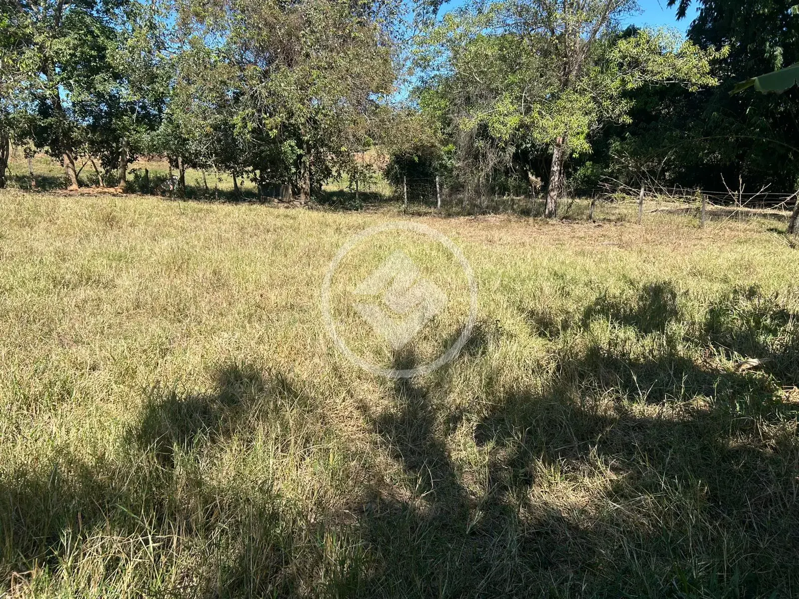 Image 37 - Fazenda em Zona Rural, Professor Jamil - GO