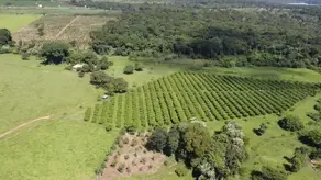Fazenda Zona Rural, Goiânia - GO — foto 2