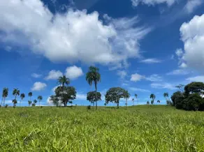 Imagem 6 - Fazenda em Zona Rural, Goiânia - GO