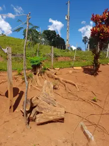 Chácara Zona Rural, Bela Vista de Goiás - GO — foto 1
