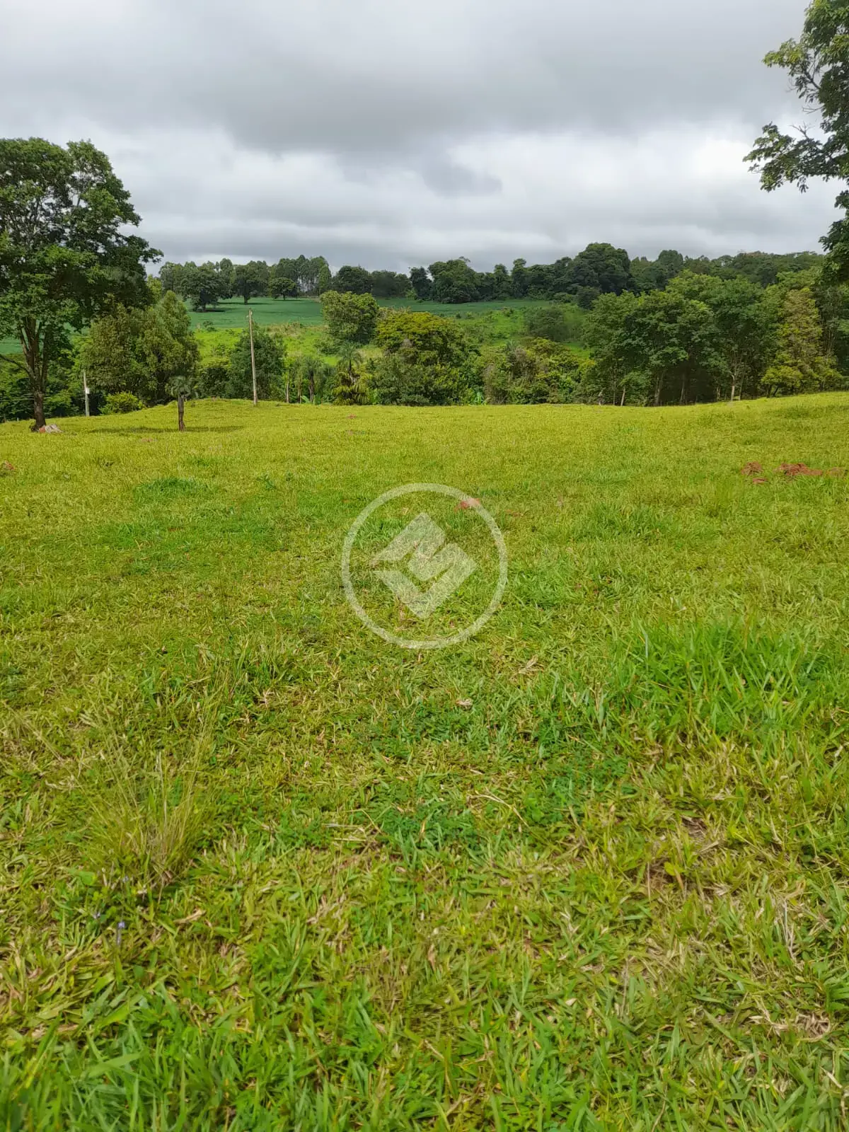 Imagem 1 - Chácara em Zona Rural, Bela Vista de Goiás - GO