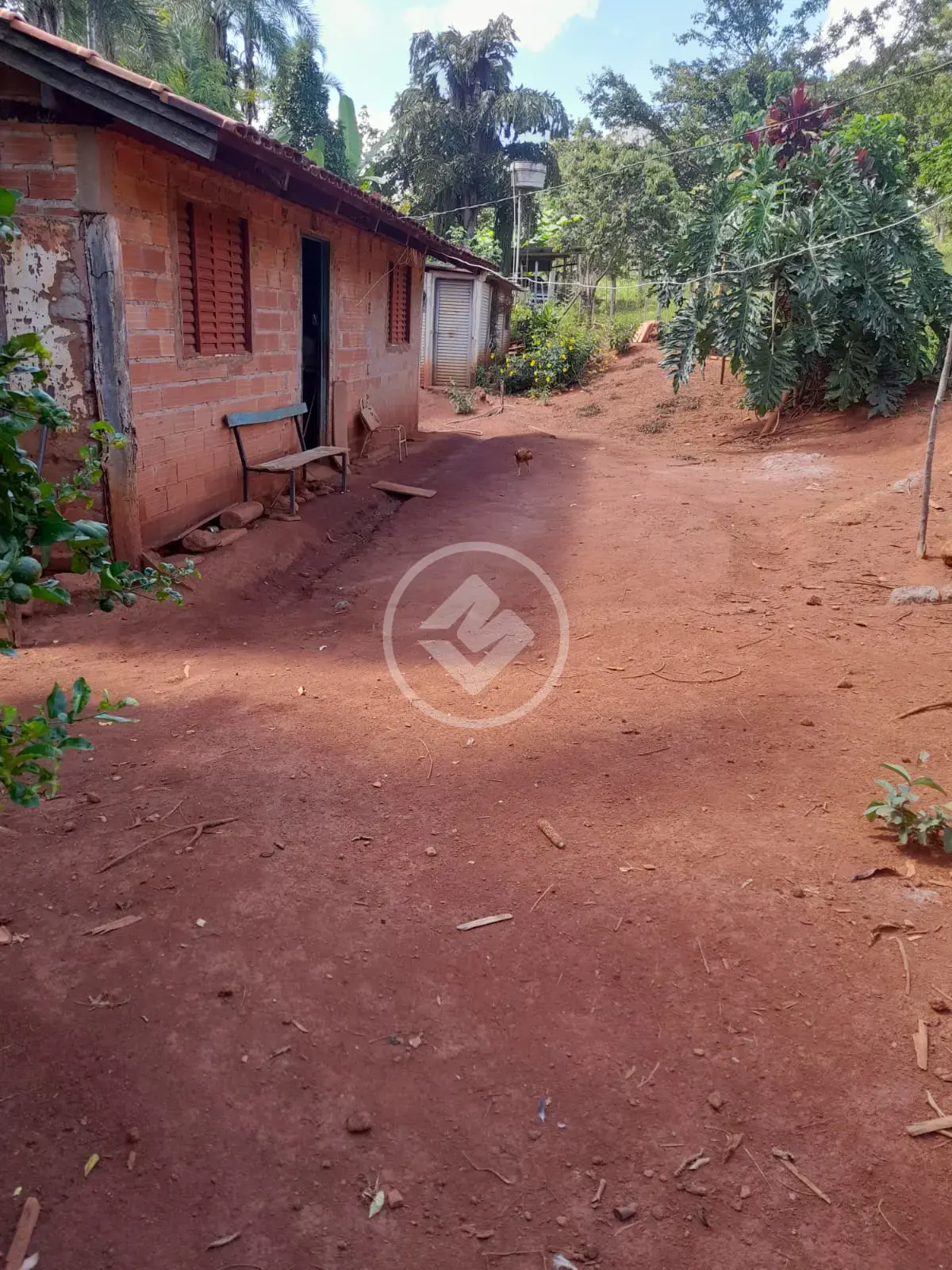 Imagem 3 - Chácara em Zona Rural, Bela Vista de Goiás - GO