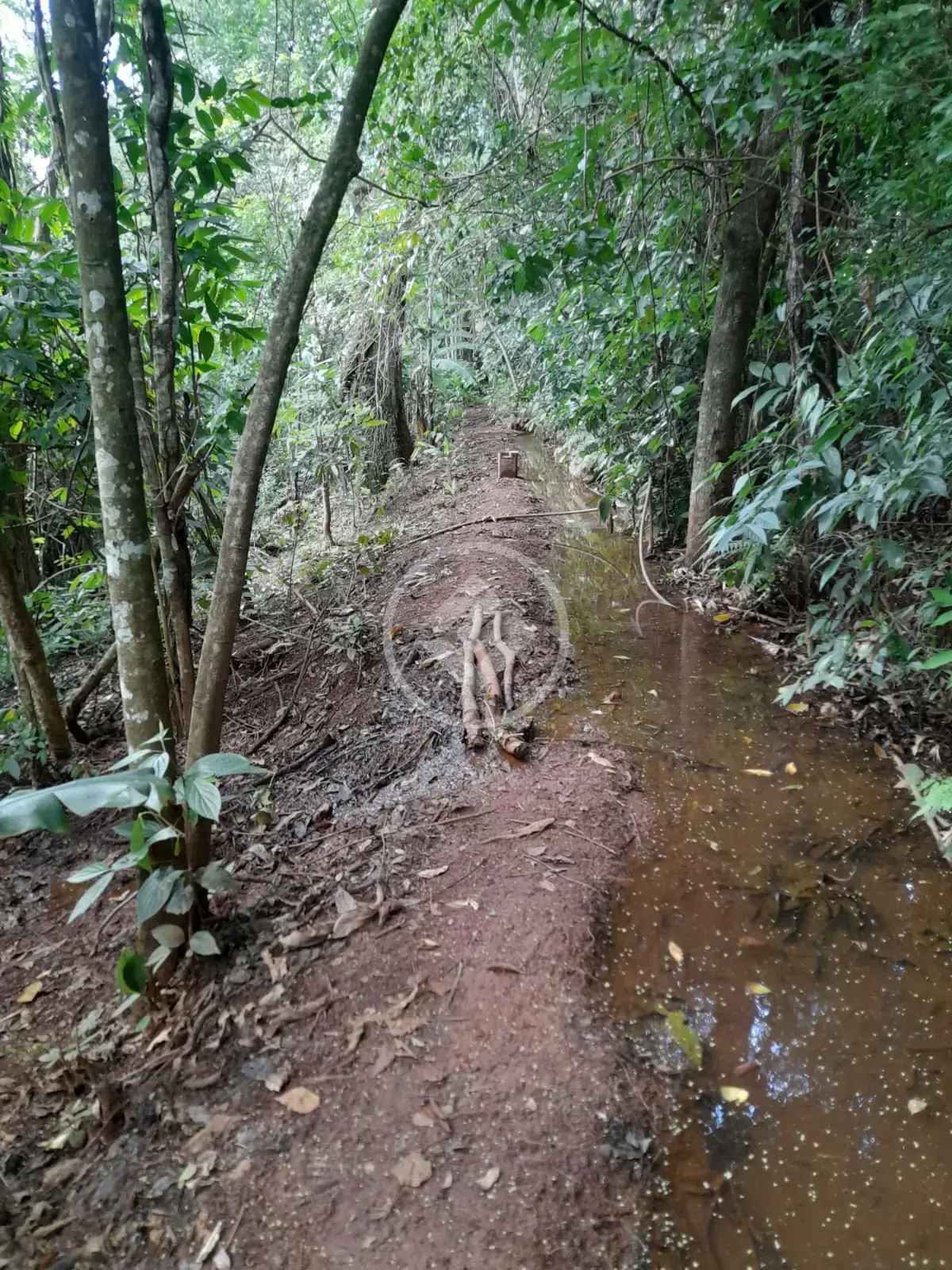 Image 10 - Chácara em Zona Rural, Bela Vista de Goiás - GO