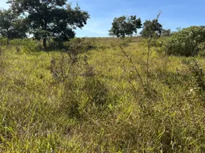 Imagem 4 - Chácara em Zona Rural, Bela Vista de Goiás - GO