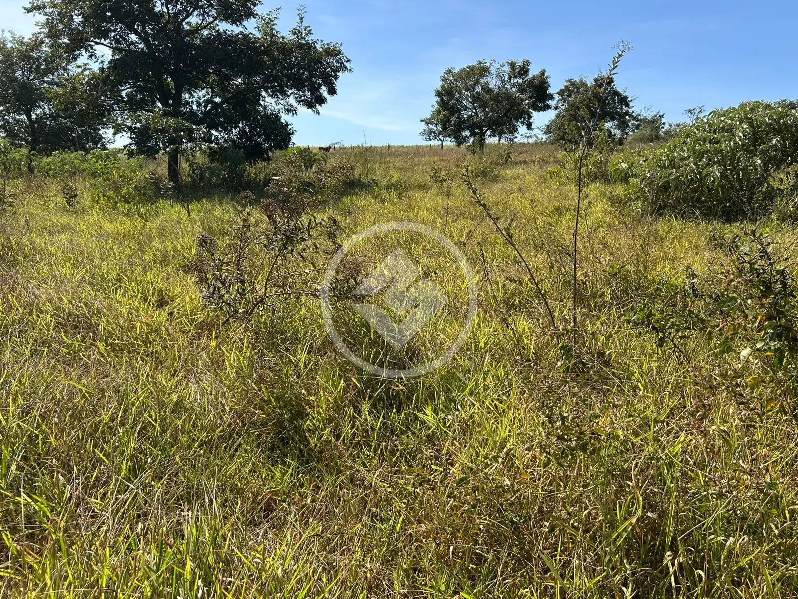 Imagem 4 - Chácara em Zona Rural, Bela Vista de Goiás - GO