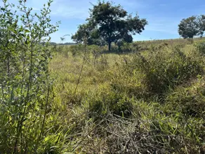 Imagem 2 - Chácara em Zona Rural, Bela Vista de Goiás - GO