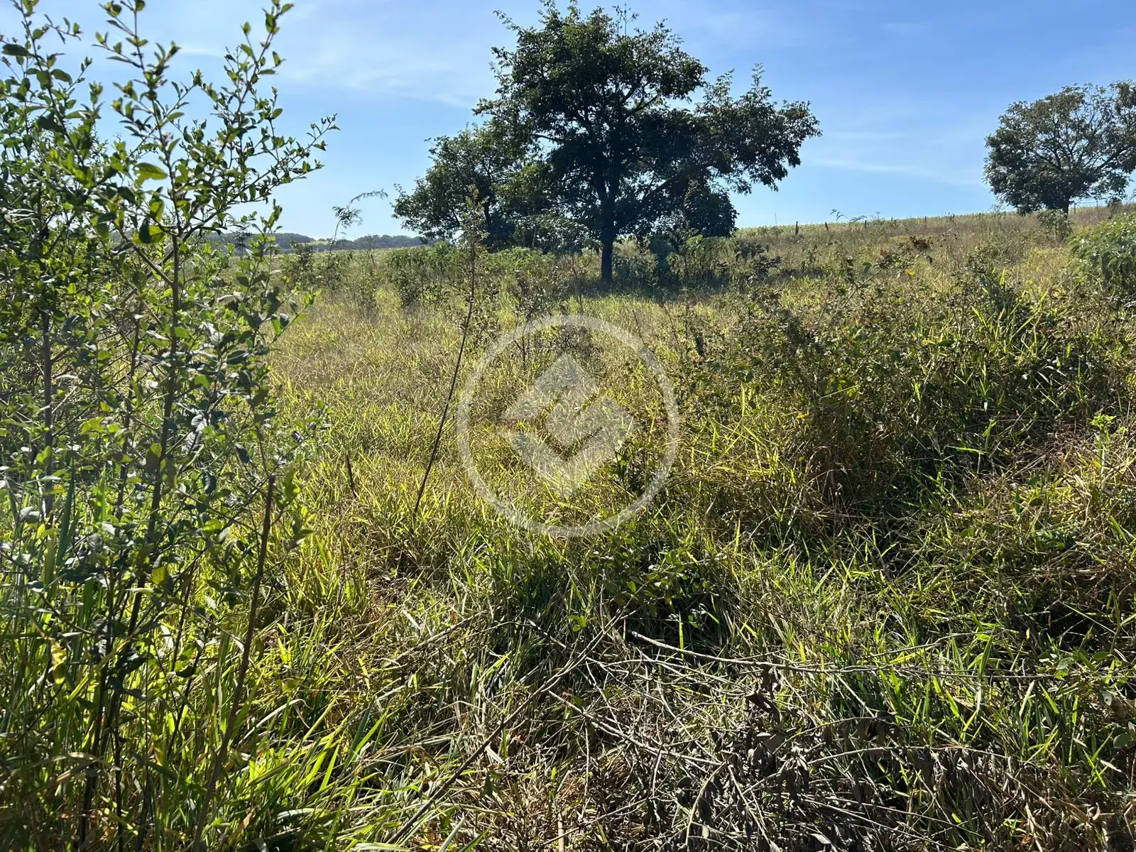 Imagem 2 - Chácara em Zona Rural, Bela Vista de Goiás - GO