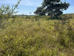 Imagem 5 - Chácara em Zona Rural, Bela Vista de Goiás - GO