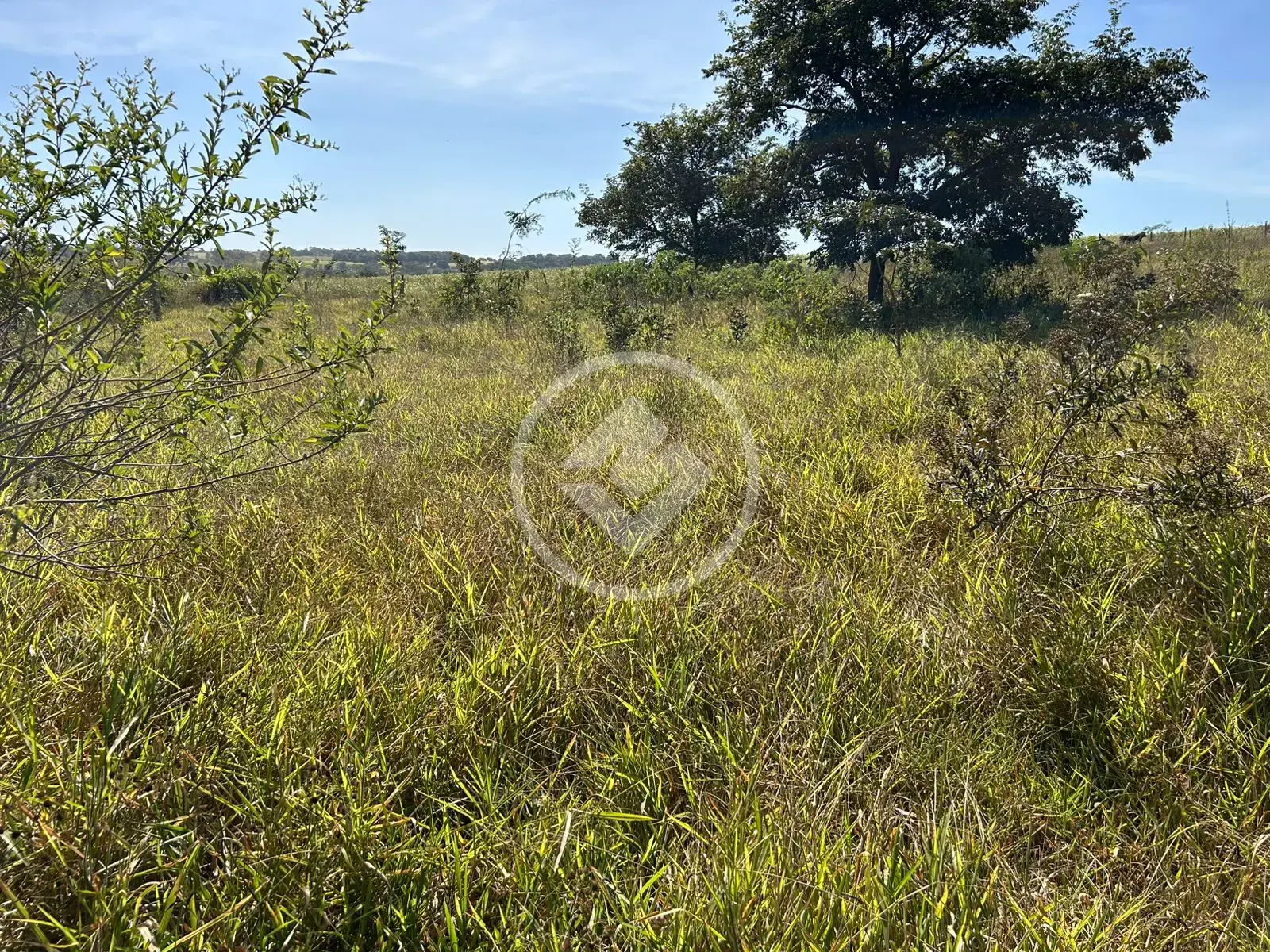 Imagem 5 - Chácara em Zona Rural, Bela Vista de Goiás - GO