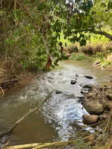 Chácara Área Rural de Morrinhos, Morrinhos - GO — foto 1