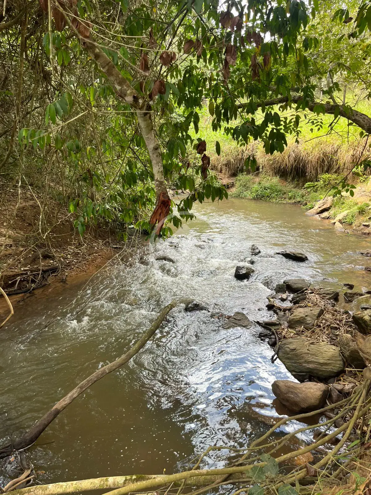 Imagem 1 - Chácara em Área Rural de Morrinhos, Morrinhos - GO