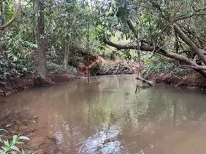 Imagem 2 - Chácara em Área Rural de Morrinhos, Morrinhos - GO