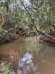 Imagem 5 - Chácara em Área Rural de Morrinhos, Morrinhos - GO