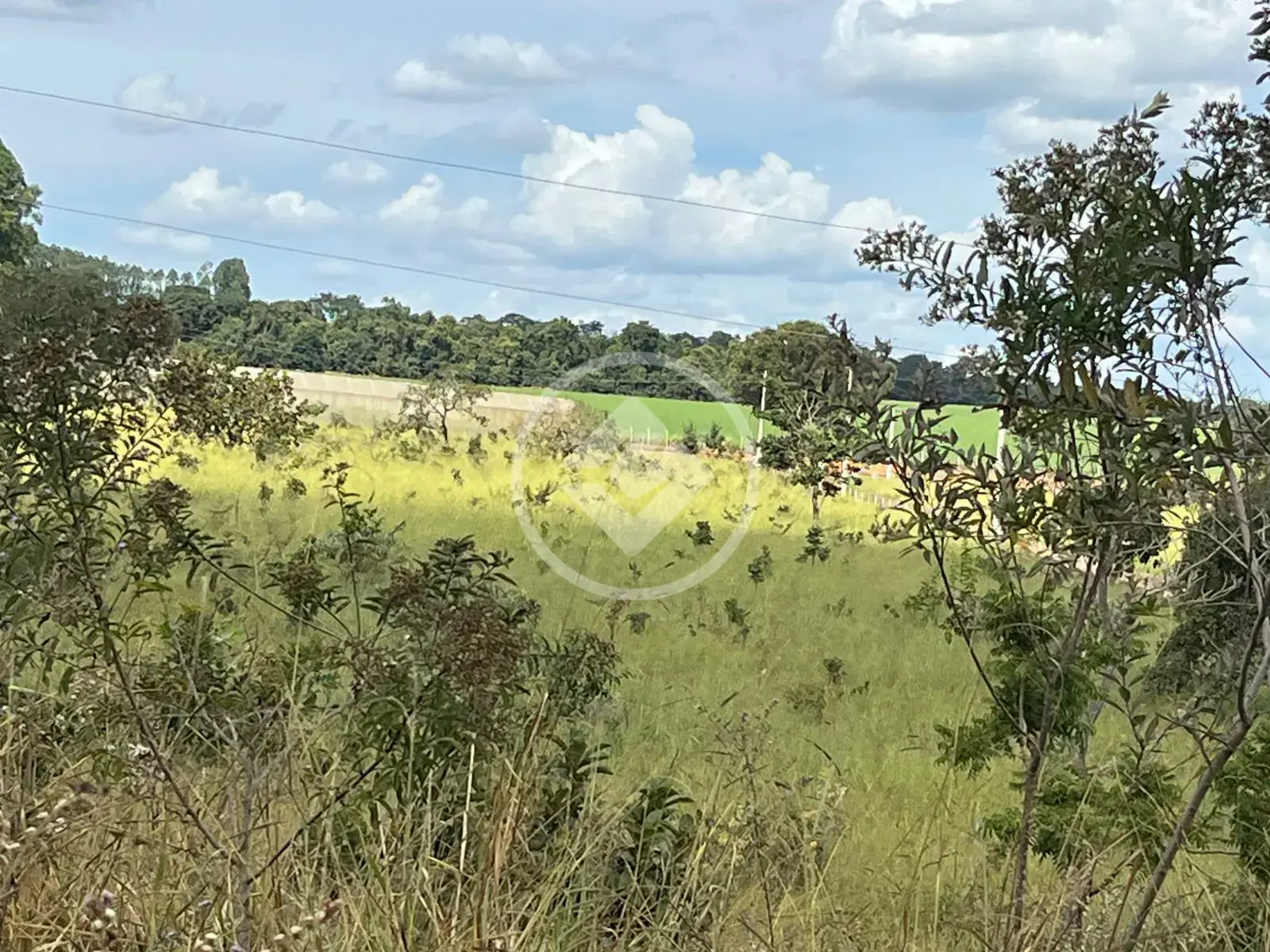 Image 9 - Chácara em Área Rural de Morrinhos, Morrinhos - GO