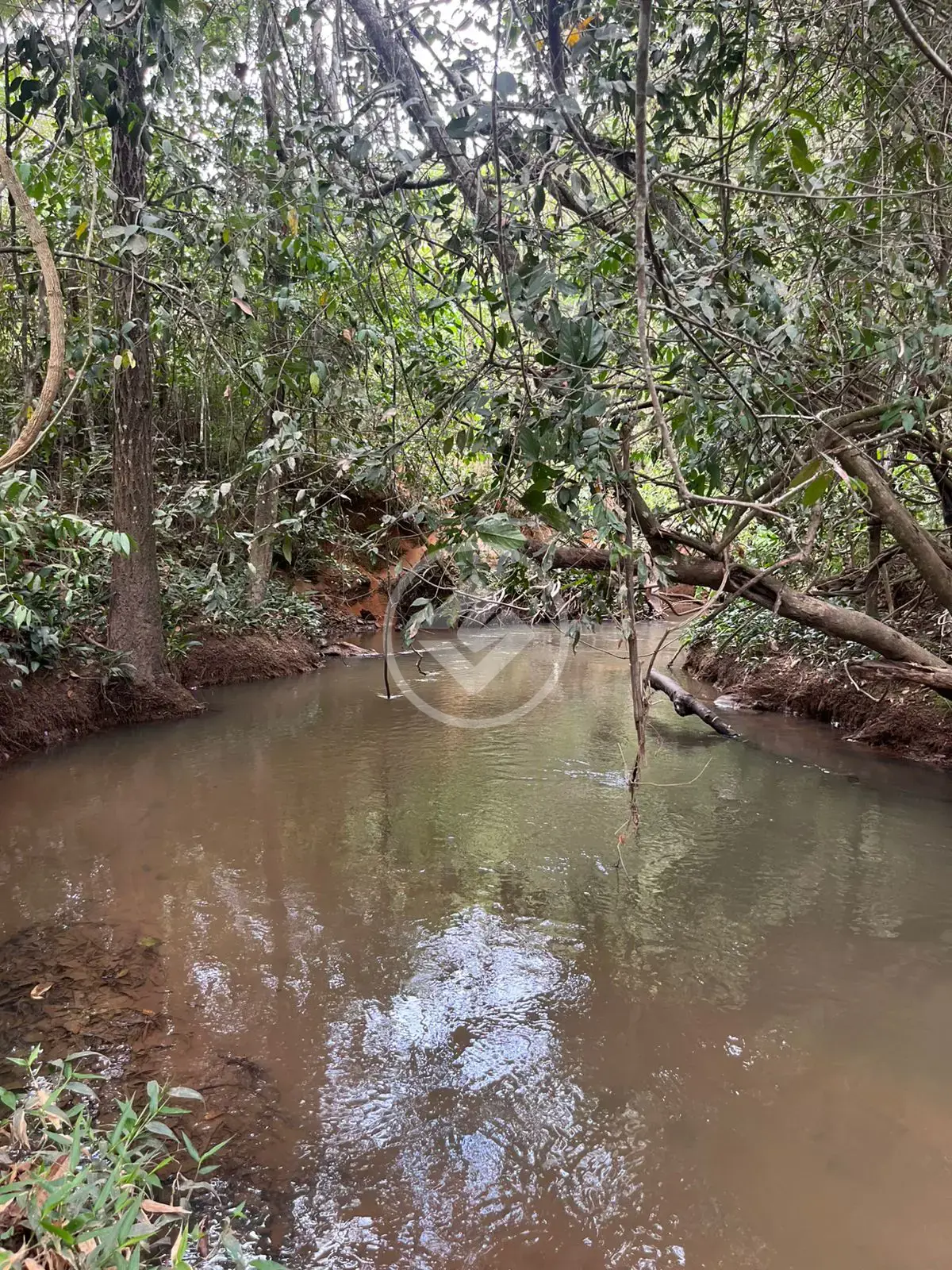 Imagem 6 - Chácara em Zona Rural, Bela Vista de Goiás - GO
