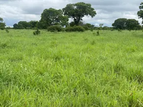 Fazenda Zona Rural, Crixás do Tocantins - TO — foto 1