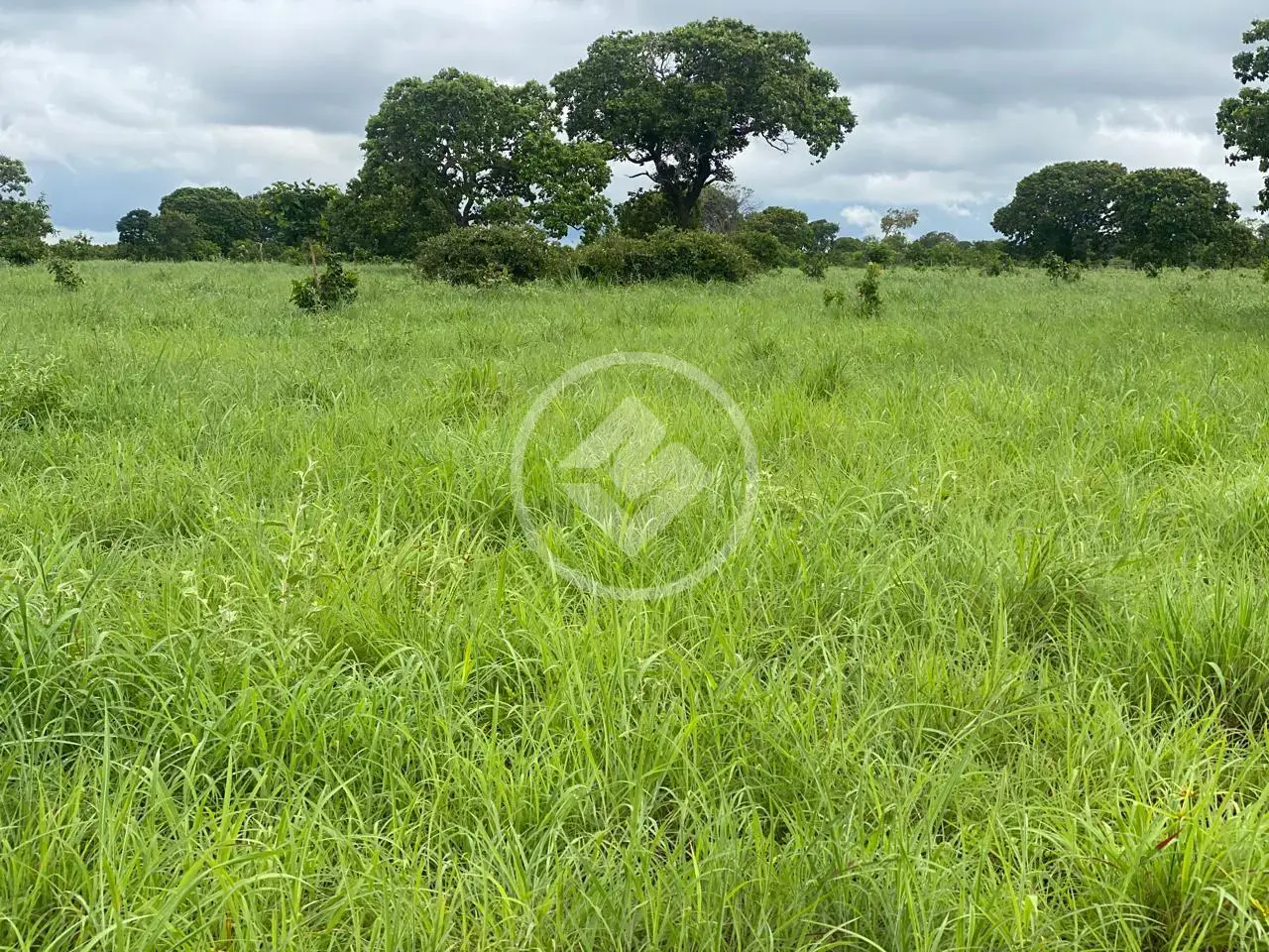 Imagem 1 - Fazenda em Zona Rural, Crixás do Tocantins - TO