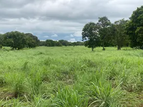 Imagem 3 - Fazenda em Zona Rural, Crixás do Tocantins - TO