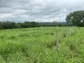Fazenda Zona Rural, Crixás do Tocantins - TO — foto 2