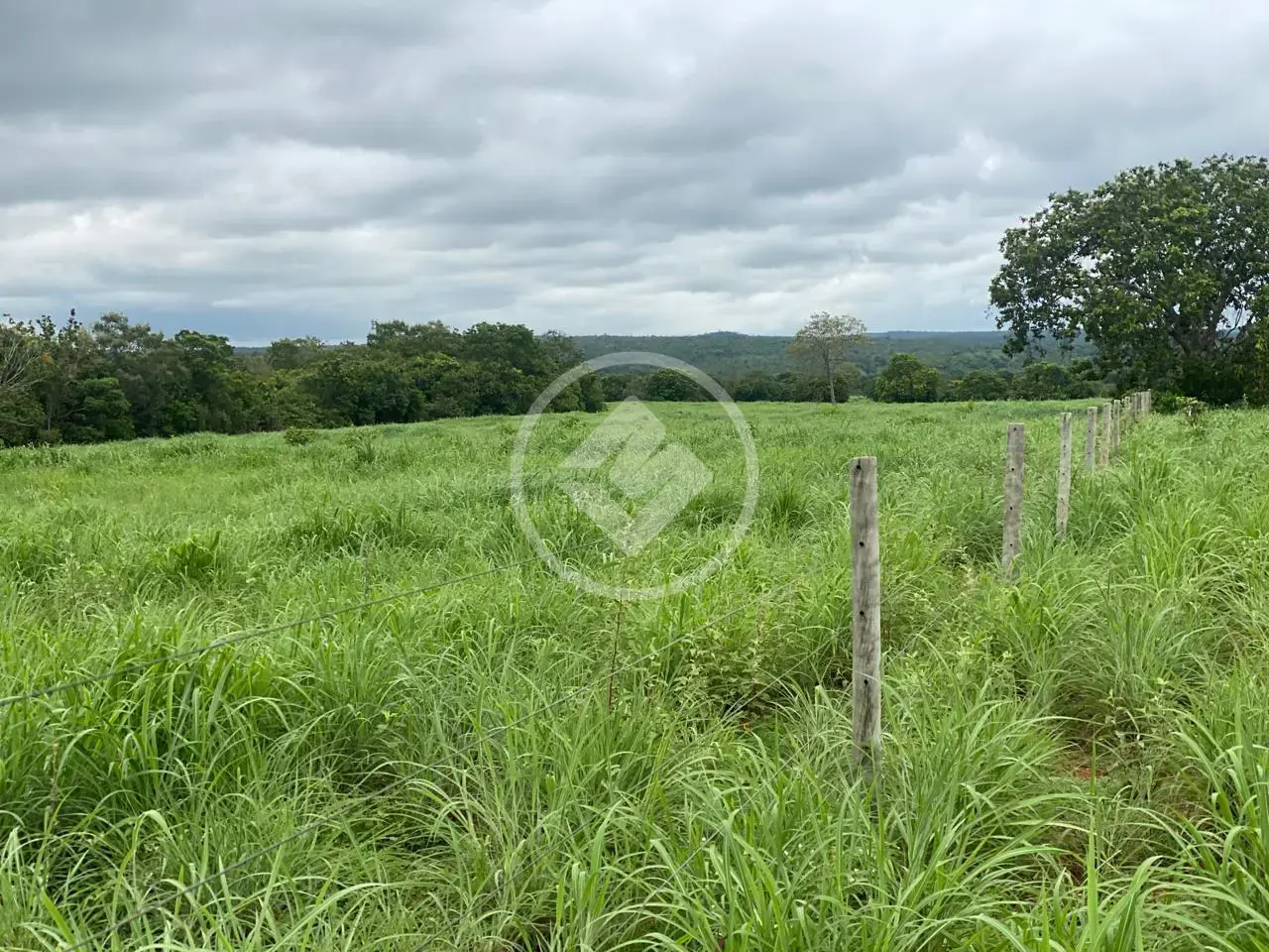 Image 2 - Fazenda em Zona Rural, Crixás do Tocantins - TO