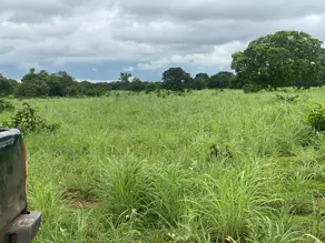 Imagem 2 - Fazenda em Zona Rural, Crixás do Tocantins - TO