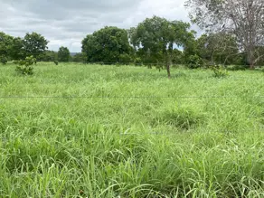 Imagem 4 - Fazenda em Zona Rural, Crixás do Tocantins - TO