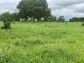 Imagem 5 - Fazenda em Zona Rural, Crixás do Tocantins - TO
