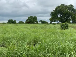 Imagem 6 - Fazenda em Zona Rural, Crixás do Tocantins - TO