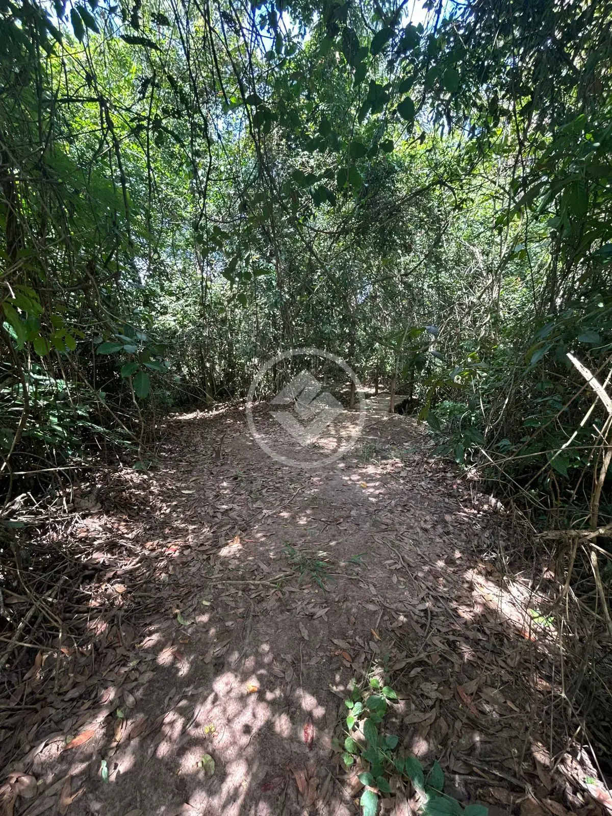 Image 17 - Chácara em Zona Rural, Hidrolândia - GO