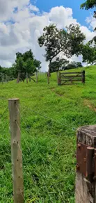 Fazenda Zona Rural, São Miguel do Passa Quatro - GO — foto 2