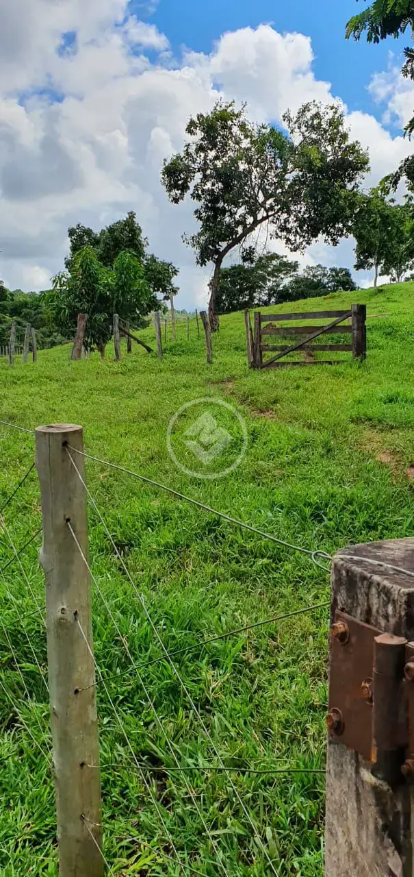 Imagem 1 - Fazenda em Zona Rural, São Miguel do Passa Quatro - GO