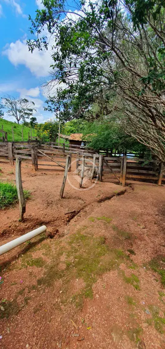 Imagem 2 - Fazenda em Zona Rural, São Miguel do Passa Quatro - GO