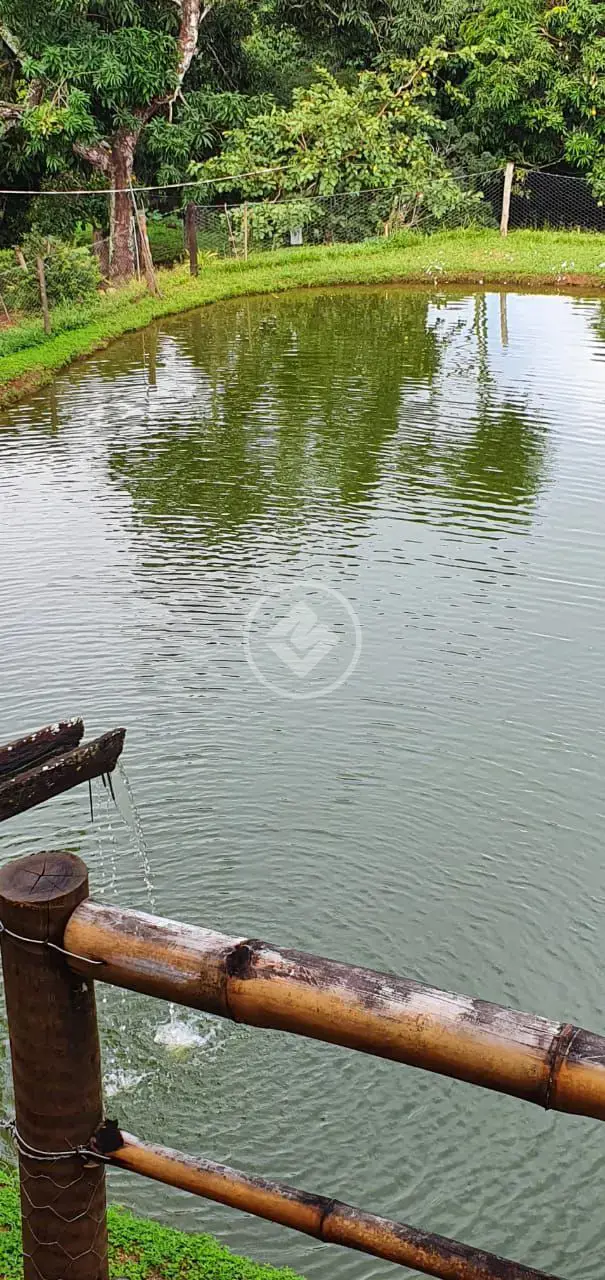 Imagem 4 - Fazenda em Zona Rural, São Miguel do Passa Quatro - GO