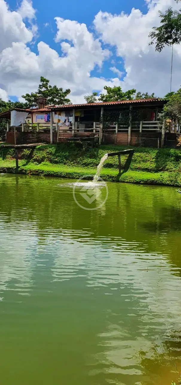 Imagem 5 - Fazenda em Zona Rural, São Miguel do Passa Quatro - GO