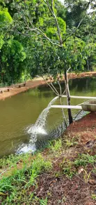 Fazenda Zona Rural, São Miguel do Passa Quatro - GO — foto 1