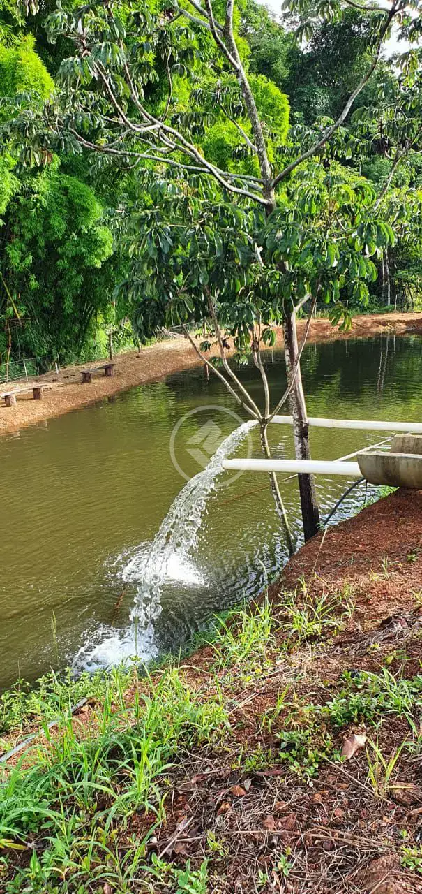 Imagem 1 - Fazenda em Zona Rural, São Miguel do Passa Quatro - GO