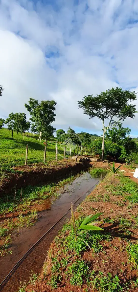 Image 18 - Fazenda em Zona Rural, São Miguel do Passa Quatro - GO