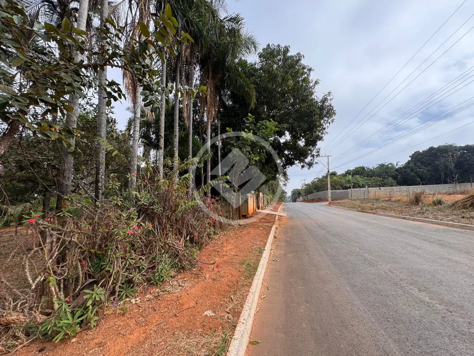 Image 7 - Chácara em Mansões Riviera Parque, Hidrolândia - GO