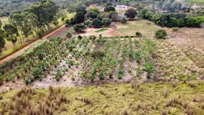 Imagem 4 - Chácara em Area Rural, Hidrolândia - GO